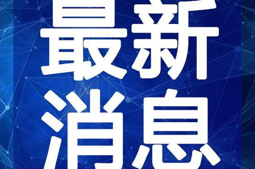 林州手擀面爆料视频最新,传统工艺与现代美味的完美融合